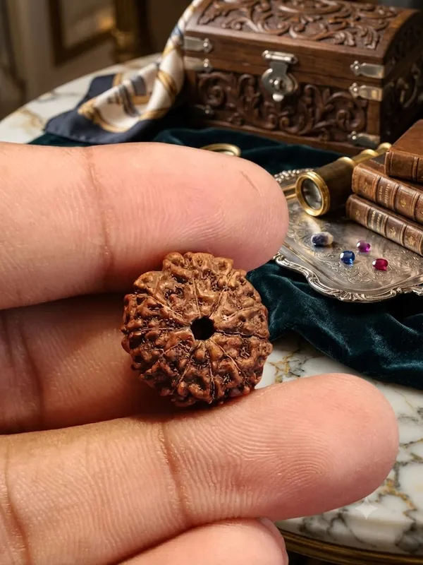 10_Mukhi_Indonesia_Rudraksha_15mm