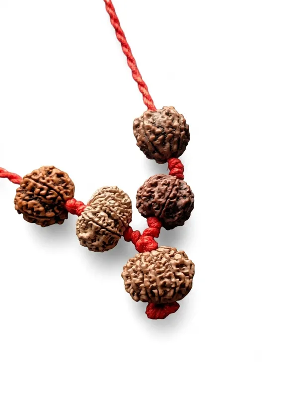 12,_10,_6,_5,_4_Mukhi_Nepali_Rudraksha_Kavach