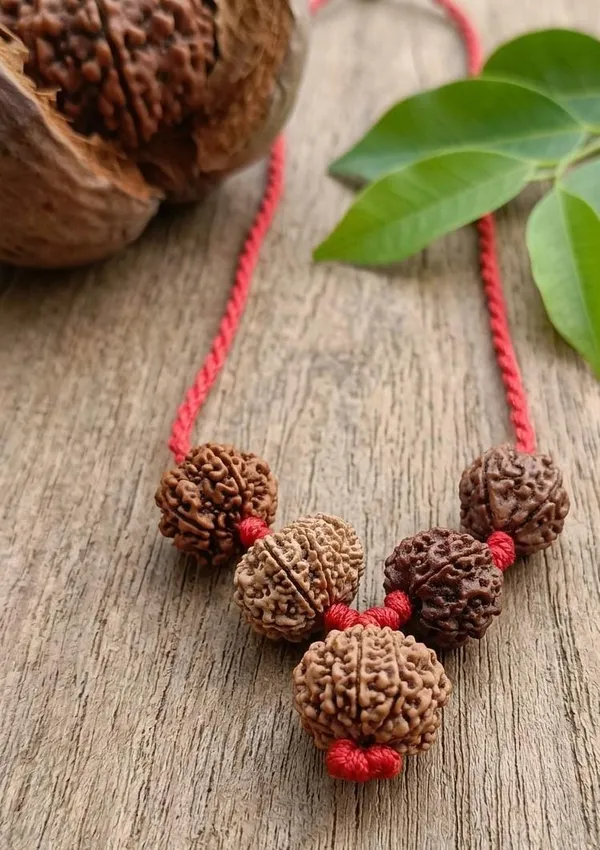 12,_10,_6,_5,_4_Mukhi_Nepali_Rudraksha_Kavach