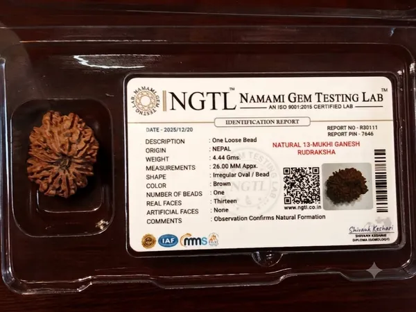13_Mukhi_Ganesh_Nepali_Rudraksha_–_26mm