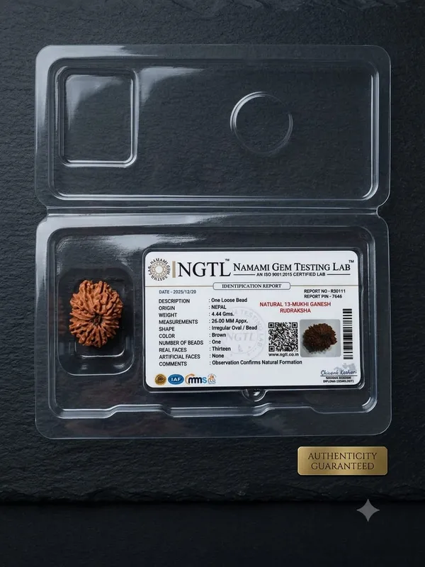 13_Mukhi_Ganesh_Nepali_Rudraksha_–_26mm
