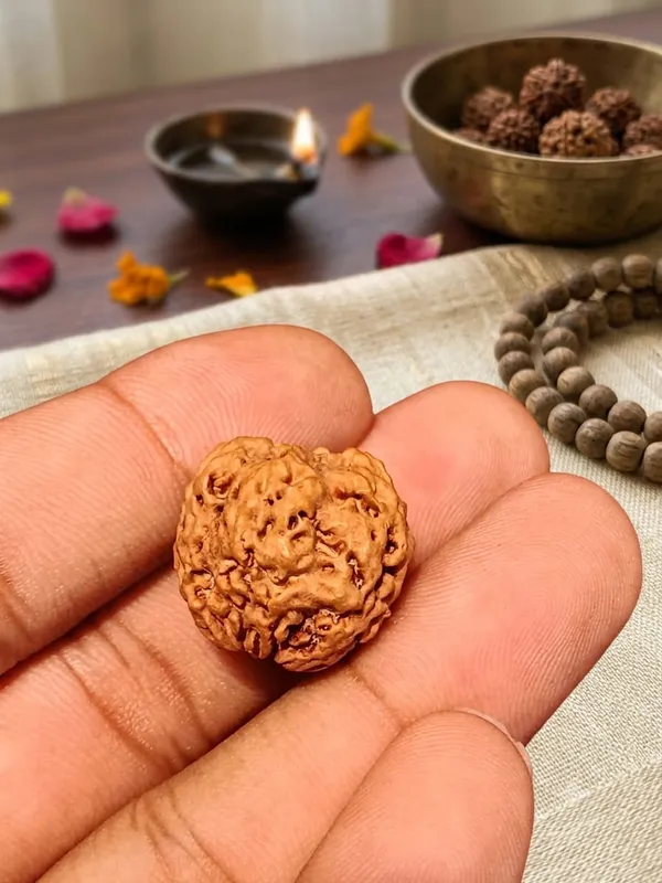 1_Mukhi_Underdeveloped_Nepali_Rudraksha_20mm