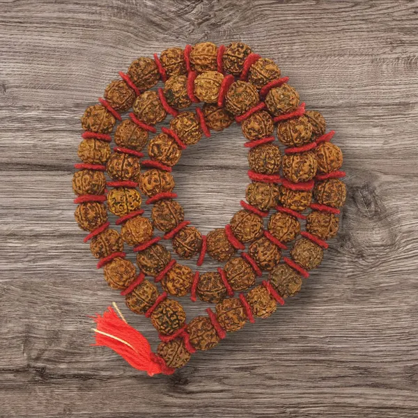 Brown_5_Mukhi_kantha_54_Beads_Nepali_Natural_Rudraksha