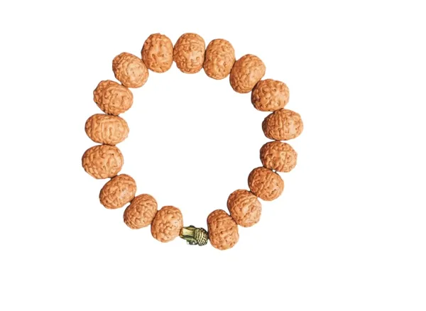Brown_7_Mukhi_Braclate_Indonesiya_Indonesia_Natural_Rudraksha