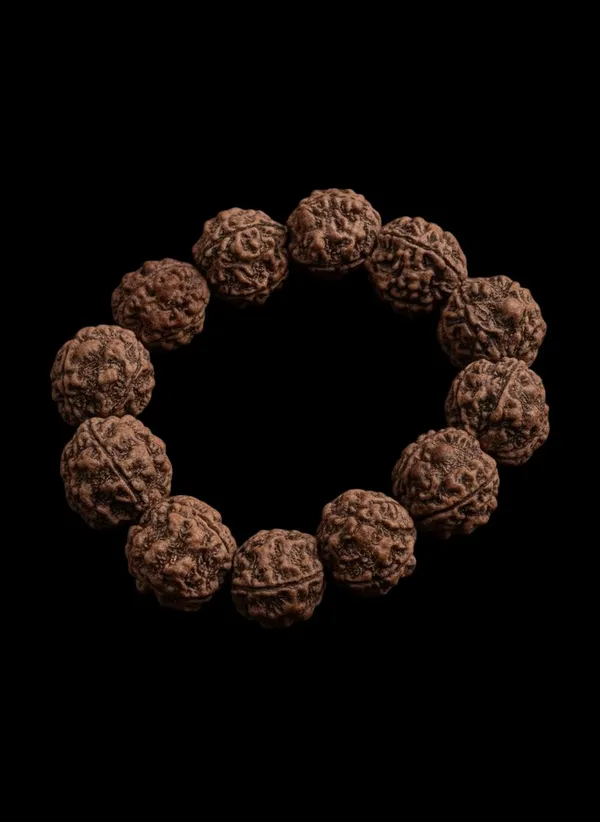Brown_7_Mukhi_Nepali_Natural_Rudraksha_Bracelet