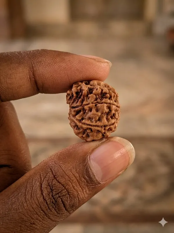 7_Mukhi_Rudraksha_Ganesh