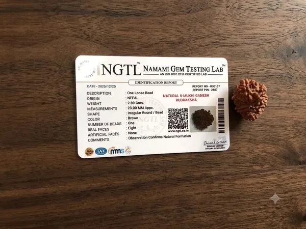 8_Mukhi_Ganesh_Rudraksha_
