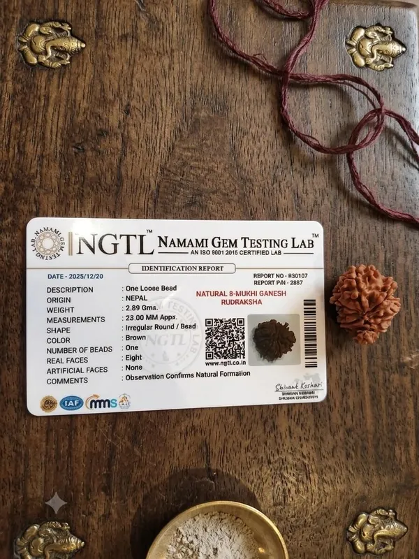8_Mukhi_Ganesh_Rudraksha_