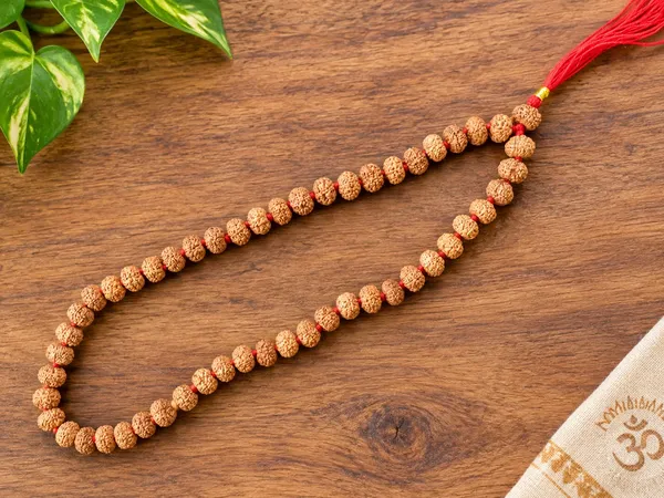 9_Mukhi_Indonesian_Rudraksha_Mala_–_54_Beads