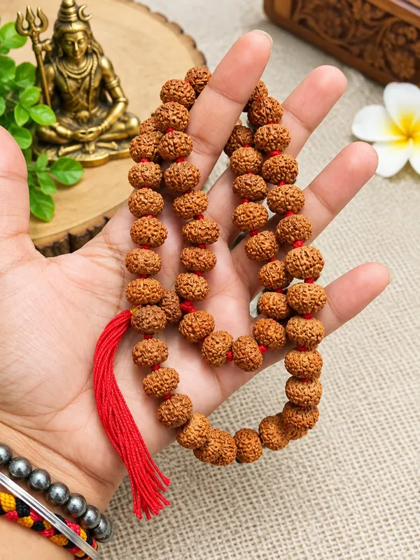 9_Mukhi_Indonesian_Rudraksha_Mala_–_54_Beads