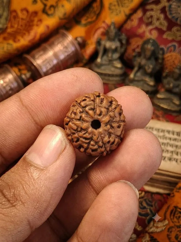 9_Mukhi_Rudraksha_Indonesia_15mm