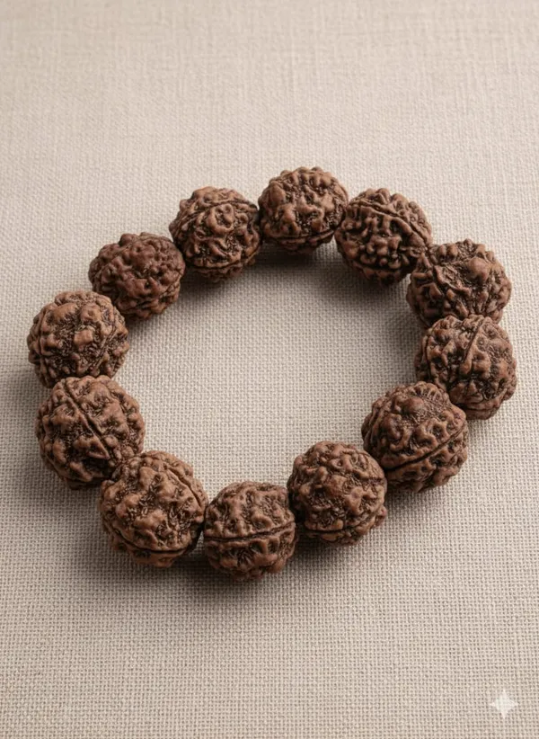 Brown_6_Mukhi_Nepali_Natural_Rudraksha_Bracelet