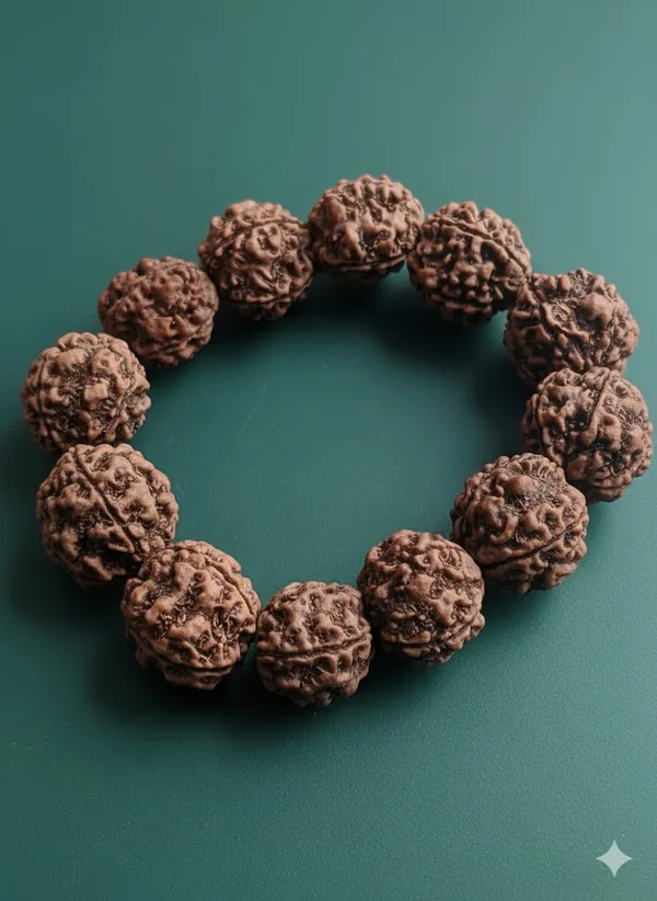 Brown_6_Mukhi_Nepali_Natural_Rudraksha_Bracelet