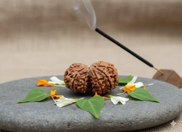 Original_Gouri_Sankar_28mm_Rudraksha_Nepali_Natural_Rudraksha