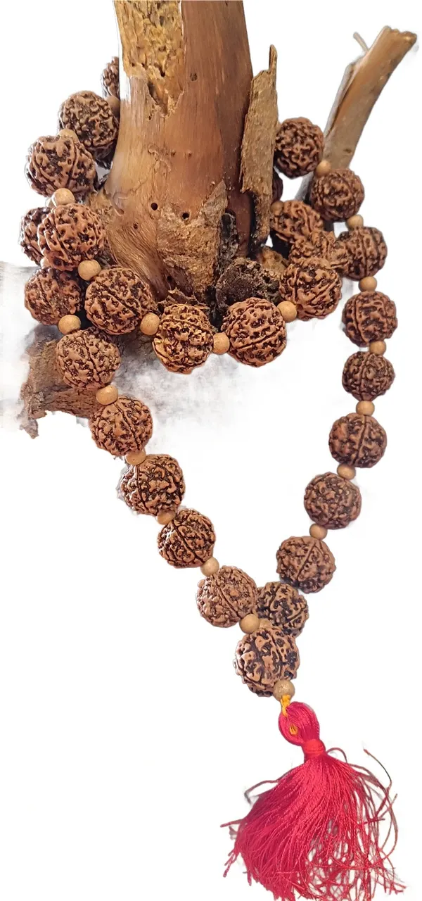 Brown_5_Mukhi_10MM_Mala_Indonesia_Natural_Rudraksha