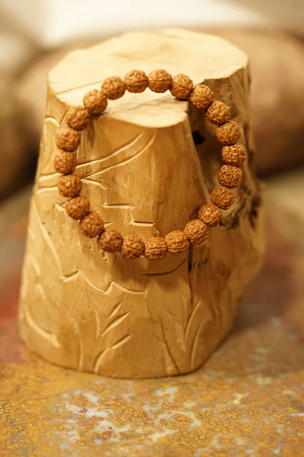 Brown_7_Mukhi_Braclate_Indonesiya_Indonesia_Natural_Rudraksha