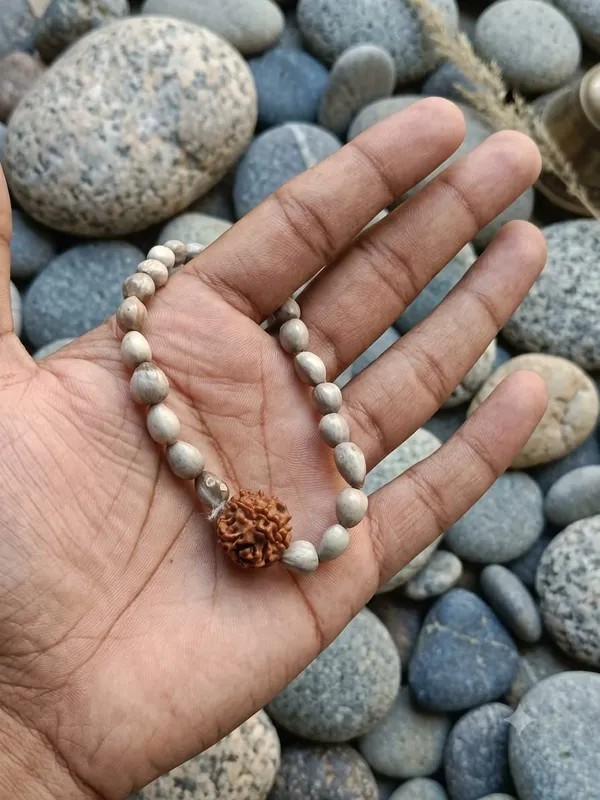 Vaijanti_With_5_Mukhi_Rudraksha_Bracelet