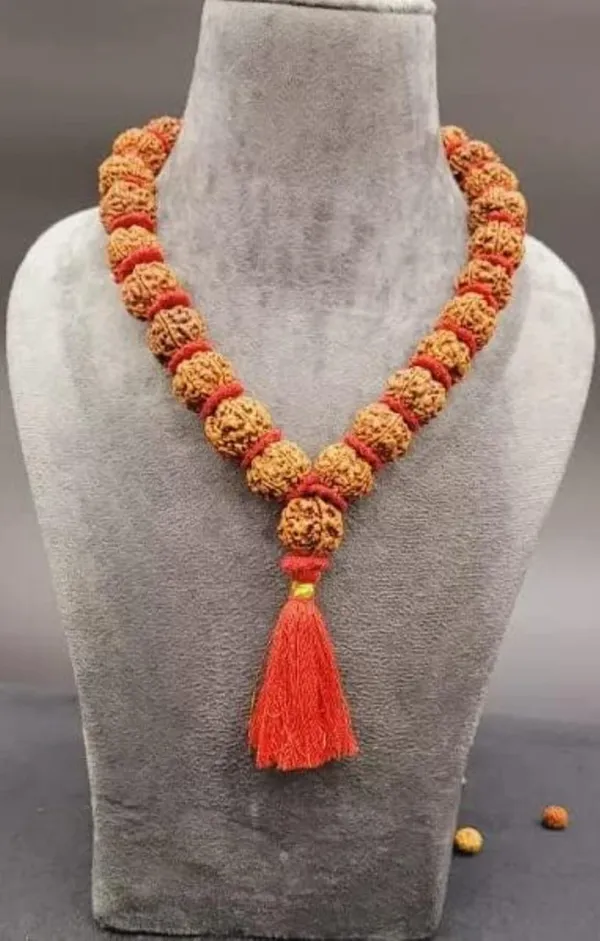 Brown_5_Mukhi_kantha_54_Beads_Nepali_Natural_Rudraksha