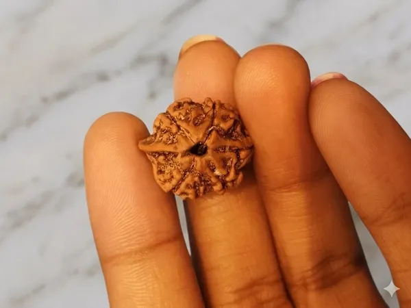 6_Mukhi_Rudraksha_Ganesh