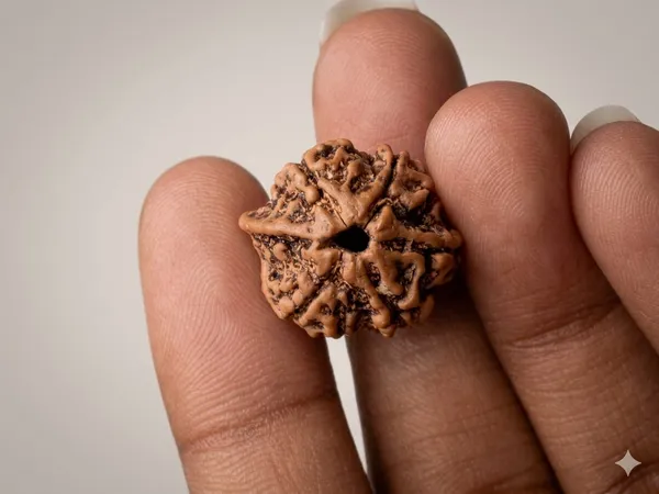 6_Mukhi_Rudraksha_Ganesh