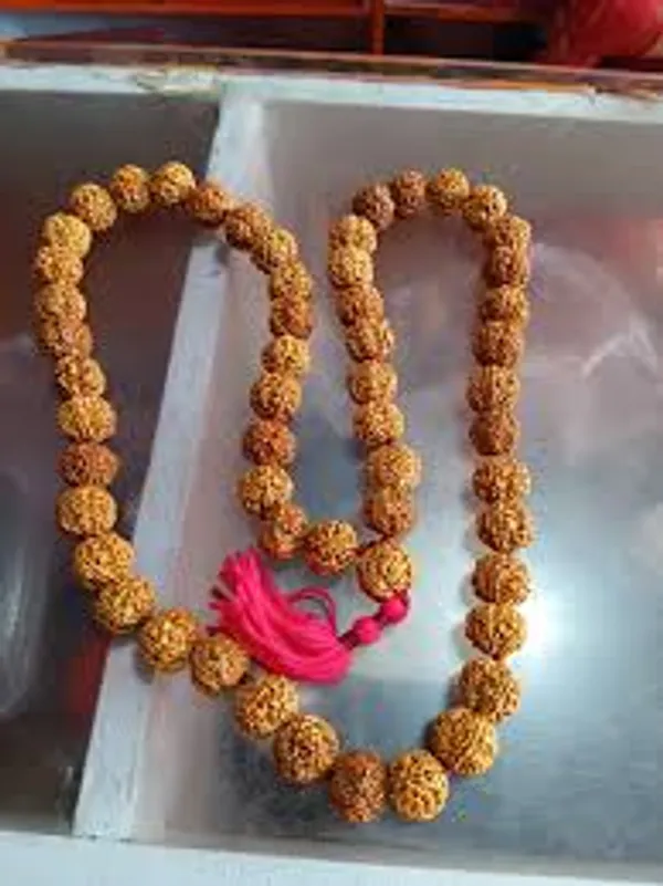 6_Mukhi_Nepali_Mala_55_Beads