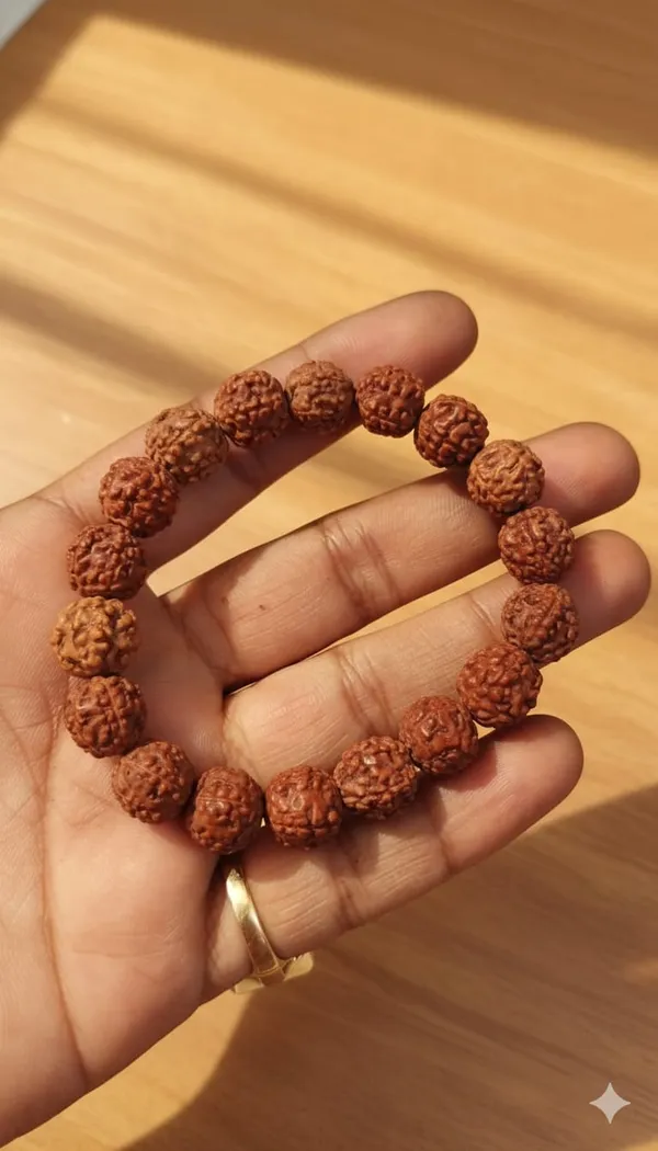 Brown_5_Mukhi_Bracelet_Indonesia_Natural_Rudraksha