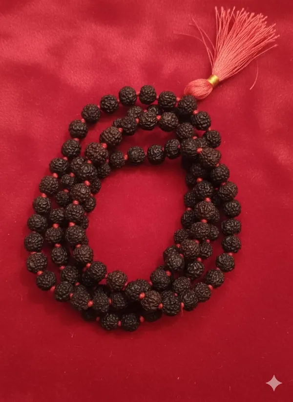 Black_5_Mukhi_Black_Mala_8mm_Indonesia_Natural_Rudraksha