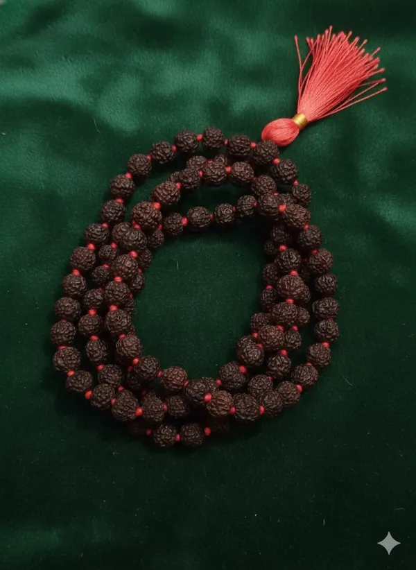 Black_5_Mukhi_Black_Mala_8mm_Indonesia_Natural_Rudraksha