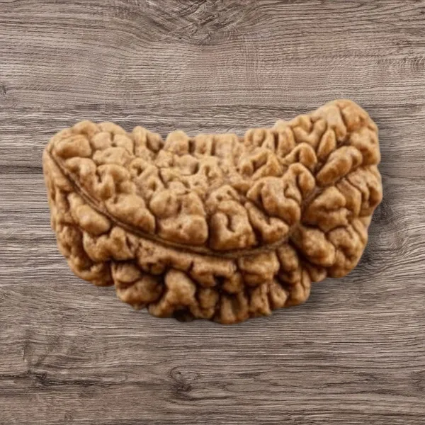 Brown_1_Mukhi_Indian_Natural_Rudraksha