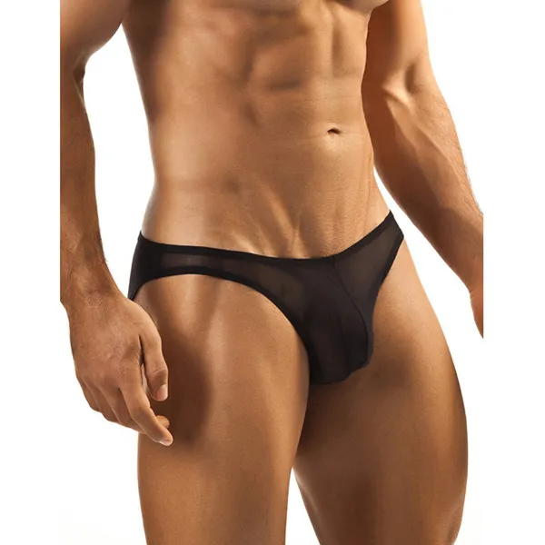 Brief_Mens_Lingerie_for_Men