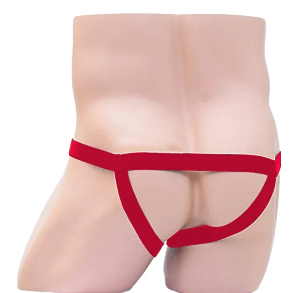Red_Elastic_Harness_Lingerie_For_Men