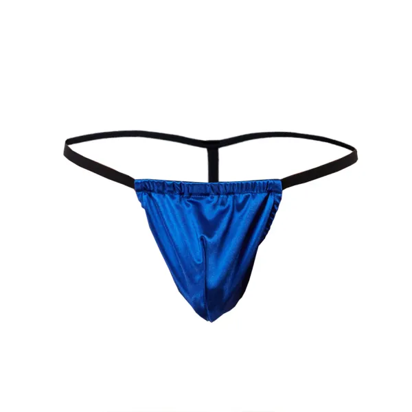 Royal_Blue_Microfiber_G_String_Lingerie_For_Men
