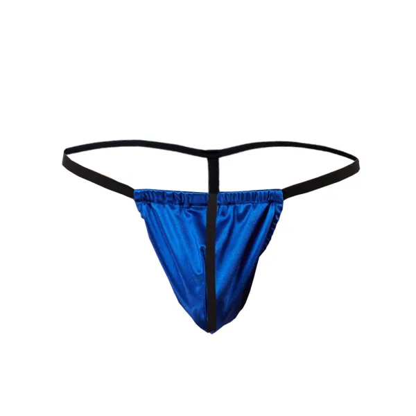 Royal_Blue_Microfiber_G_String_Lingerie_For_Men