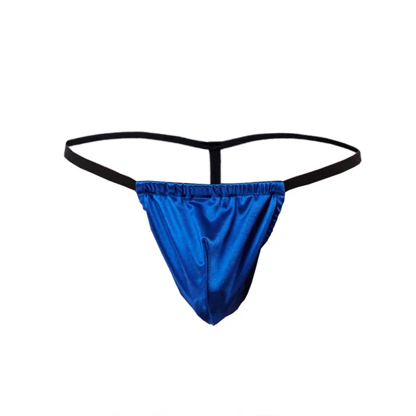 Royal_Blue_Microfiber_G_String_Lingerie_For_Men
