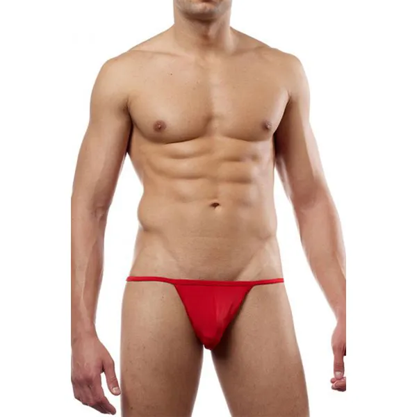 Thong_Mens_Lingerie_for_Men