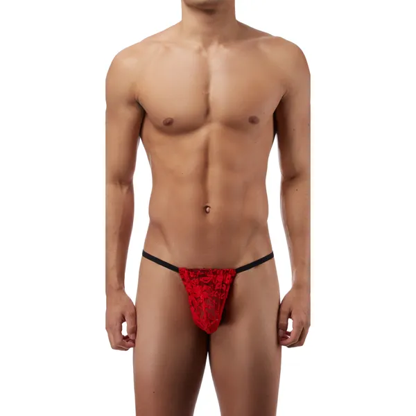 G_String_Mens_Lingerie_for_Men