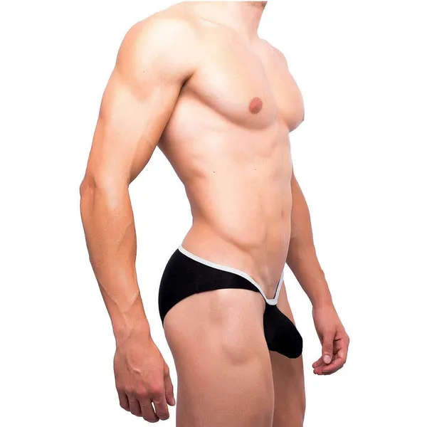 Brief_Mens_Lingerie_for_Men