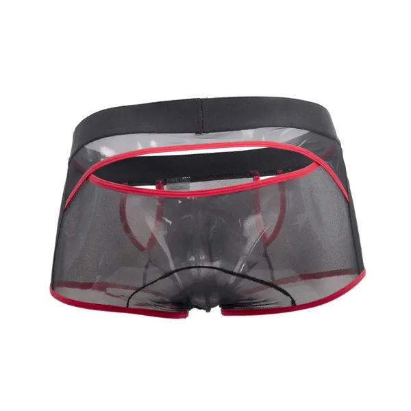 Black_Power_Net_Boxer_Lingerie_For_Men