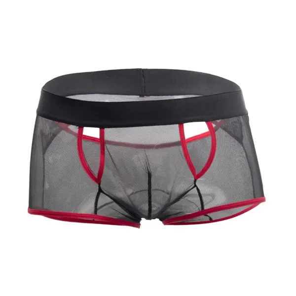 Black_Power_Net_Boxer_Lingerie_For_Men