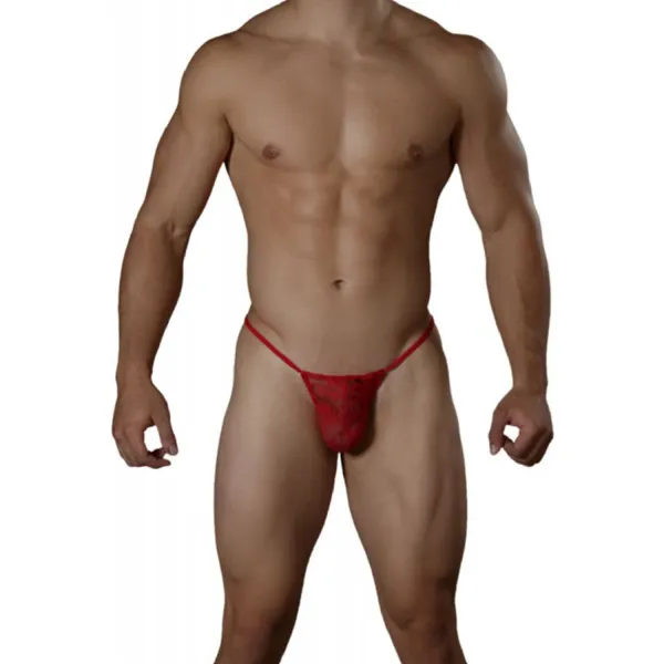 Red_Lace_Fabric_G_String_Lingerie_For_Men