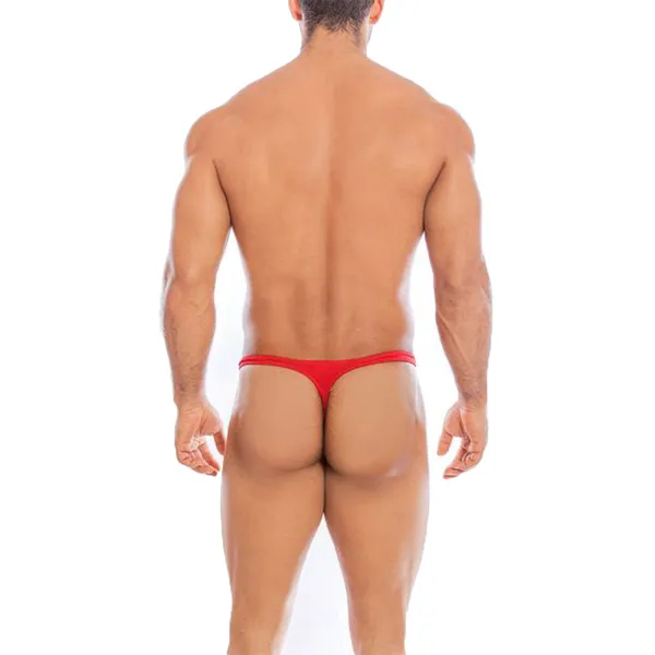 Thong_Mens_Lingerie_for_Men