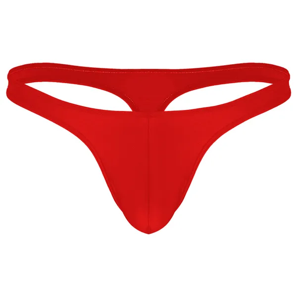 Thong_Mens_Lingerie_for_Men