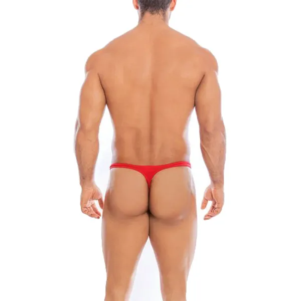 Thong_Mens_Lingerie_for_Men