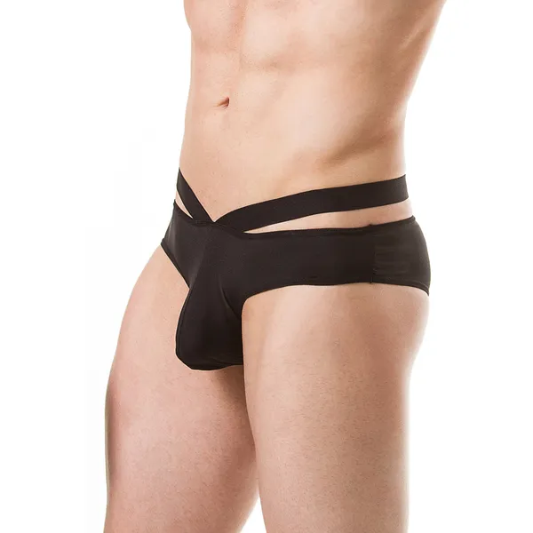 Bikini_Mens_Lingerie_for_Men