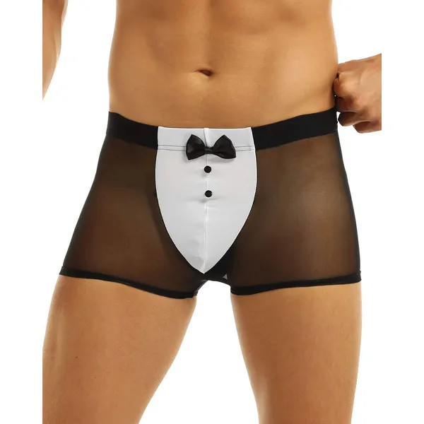 Costume_Mens_Lingerie_for_Men