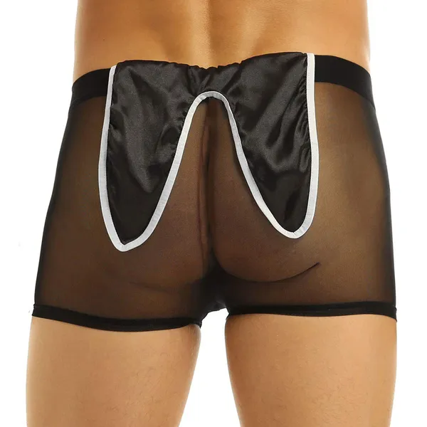 Costume_Mens_Lingerie_for_Men