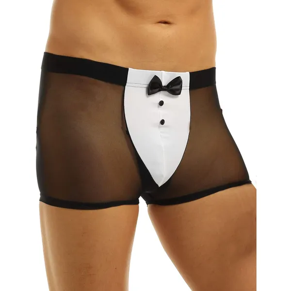 Costume_Mens_Lingerie_for_Men