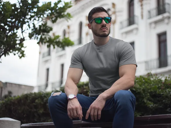 Light_Grey_Pure_Cotton_Ultimate_Comfort_Mens_Premium_Classic_Tee