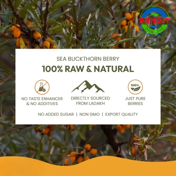 Buy_1_Get_1_Pandit_Organics_Himalayan_Sea_Buckthorn_Pulp_Concentrate_Juice__1_L_+_1_L_|_Cold-Pressed_|_Makes_300_Glasses_|_Natural_Vitamin_C,_Omega_3_6_7_9,_Antioxidants_|_Immunity,_Skin_Glow_&_Gut_Health_Support_|_1_L_+_1_L