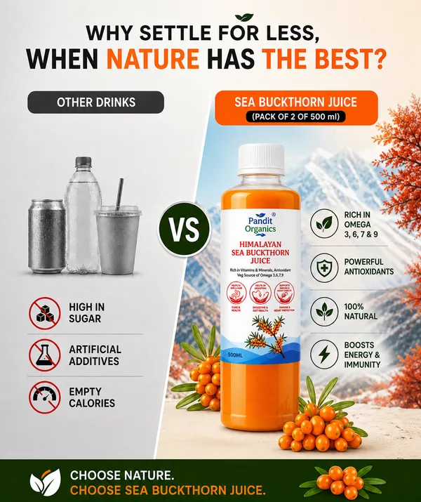 Pandit_Organics_Himalayan_Sea_Buckthorn_Pulp_Concentrate_500ml_Pack_of_2_|_Cold-Pressed_|_Makes_100_Glasses_|_Natural_Vitamin_C,_Omega_3_6_7_9,_Antioxidants_|_Immunity,_Skin_Glow_&_Gut_Health_Support_|_Juice_Seabuckthorn_|_500ml|_Pack_of_2_